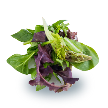 salad
