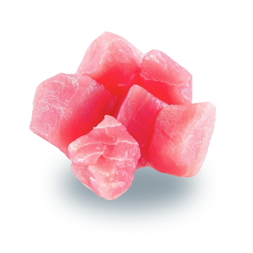tuna
