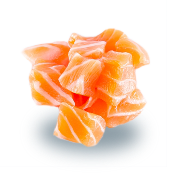 salmon