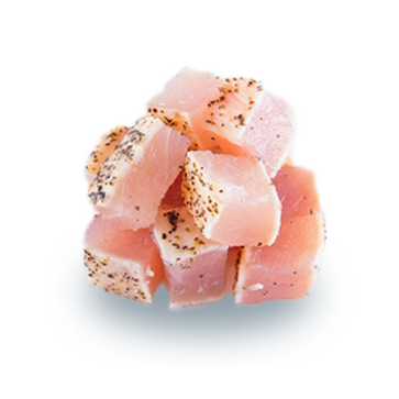 albacore