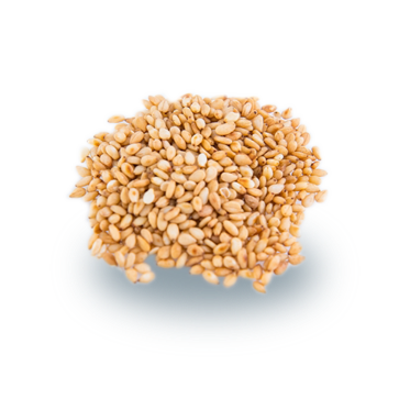 sesame seed